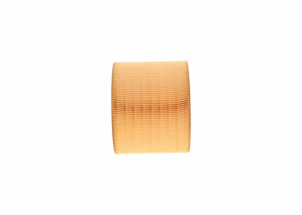 BOSCH Filtro aria