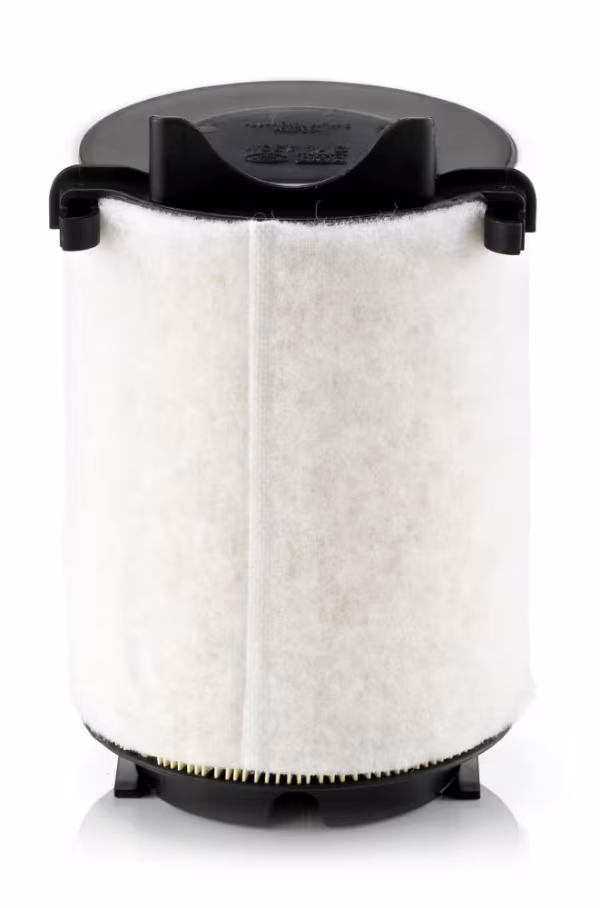 MANN-FILTER Filtro aria