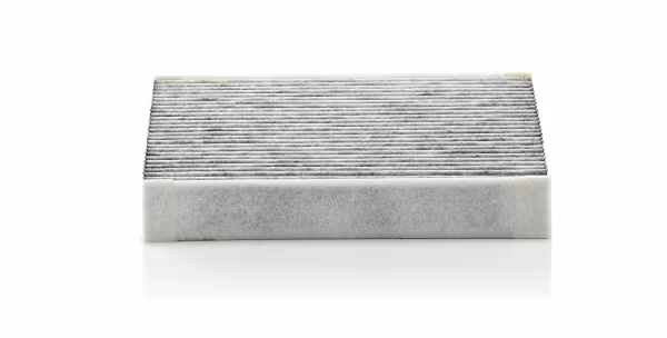 MANN-FILTER Filtro, Aria abitacolo