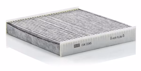 MANN-FILTER Filtro, Aria abitacolo