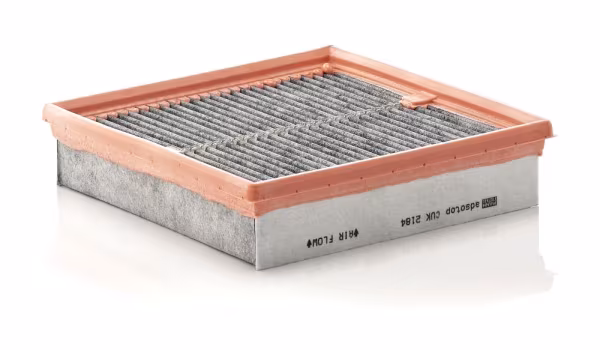 MANN-FILTER Filtro, Aria abitacolo