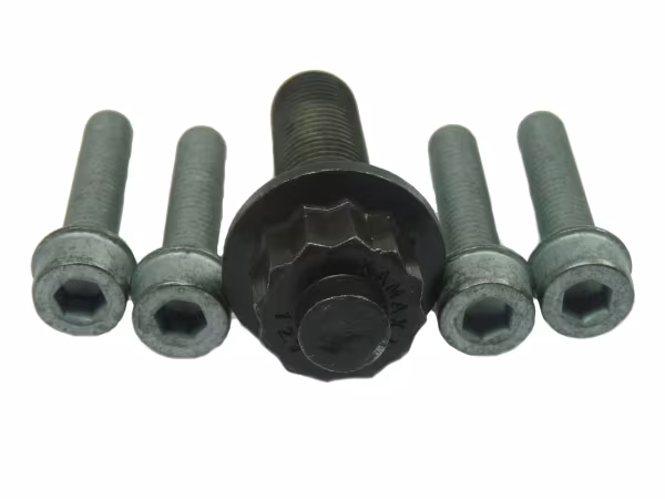 CORTECO Kit bulloni, Puleggia-Albero a gomiti