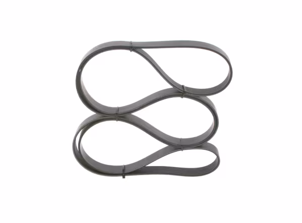 BOSCH Cinghia Poly-V