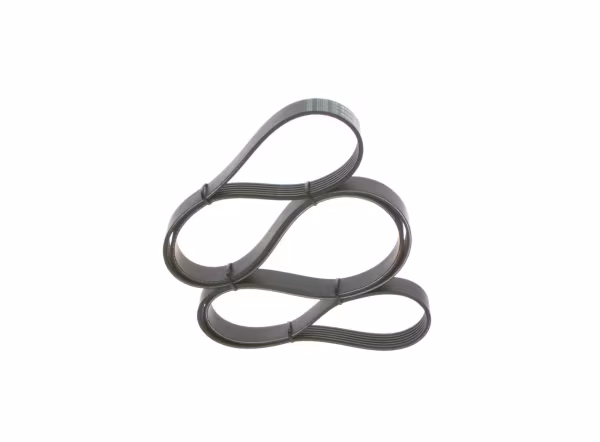 BOSCH Cinghia Poly-V