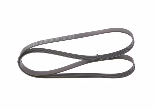 BOSCH Cinghia Poly-V