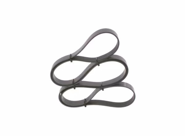 BOSCH Cinghia Poly-V