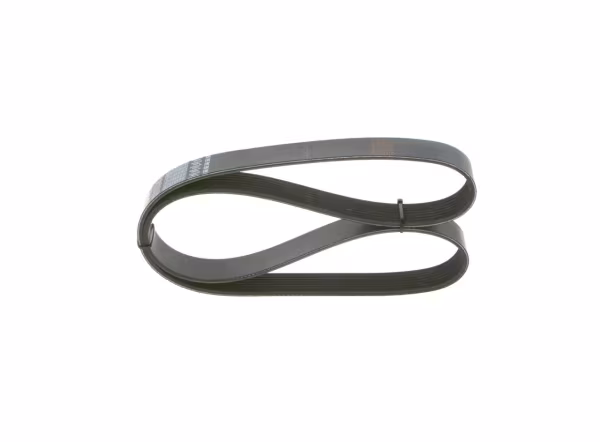BOSCH Cinghia Poly-V
