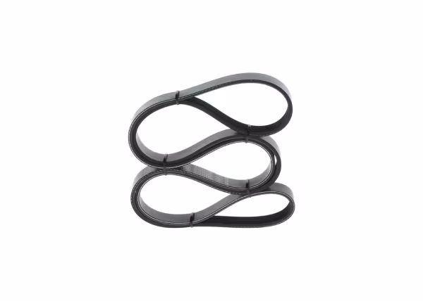 BOSCH Cinghia Poly-V