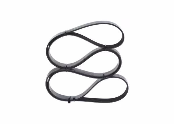 BOSCH Cinghia Poly-V