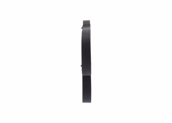BOSCH Cinghia Poly-V