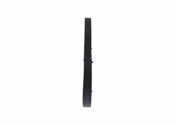 BOSCH Cinghia Poly-V