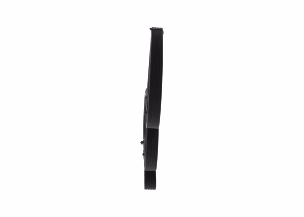 BOSCH Cinghia Poly-V