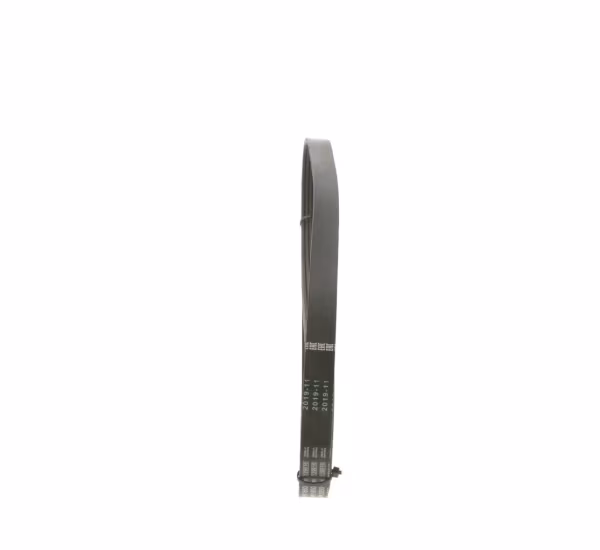 BOSCH Cinghia Poly-V