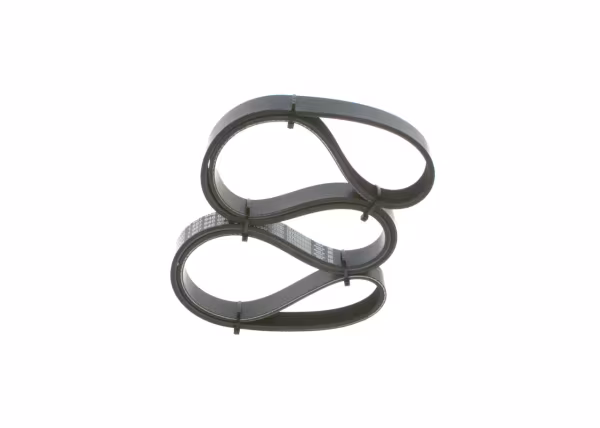 BOSCH Cinghia Poly-V