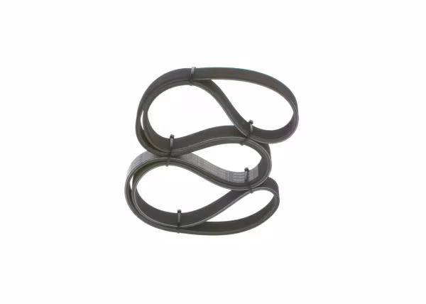 BOSCH Cinghia Poly-V