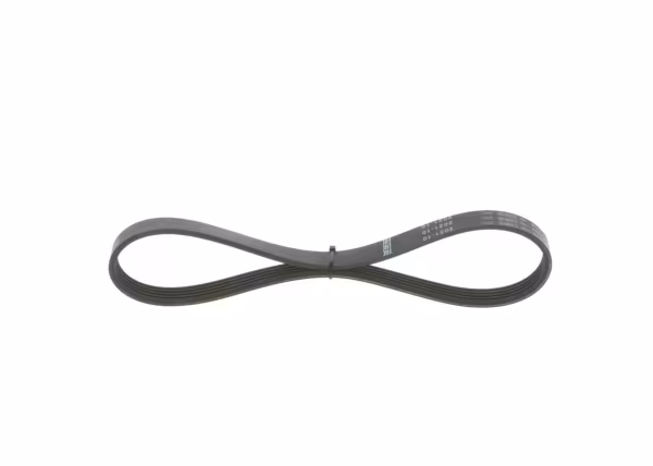 BOSCH Cinghia Poly-V