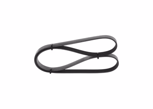 BOSCH Cinghia Poly-V