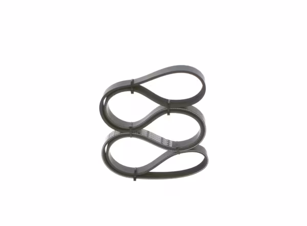 BOSCH Cinghia Poly-V