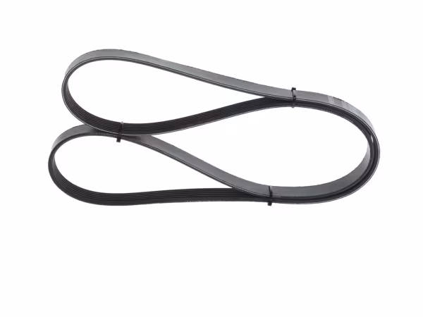 BOSCH Cinghia Poly-V