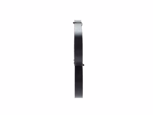 BOSCH Cinghia Poly-V