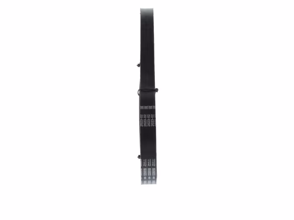 BOSCH Cinghia Poly-V