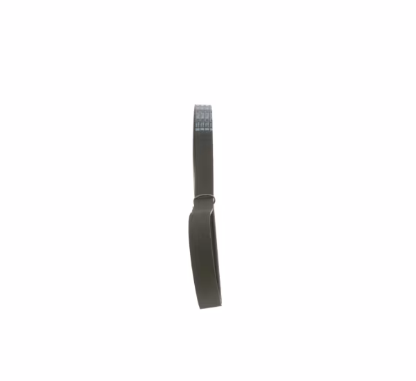 BOSCH Cinghia Poly-V