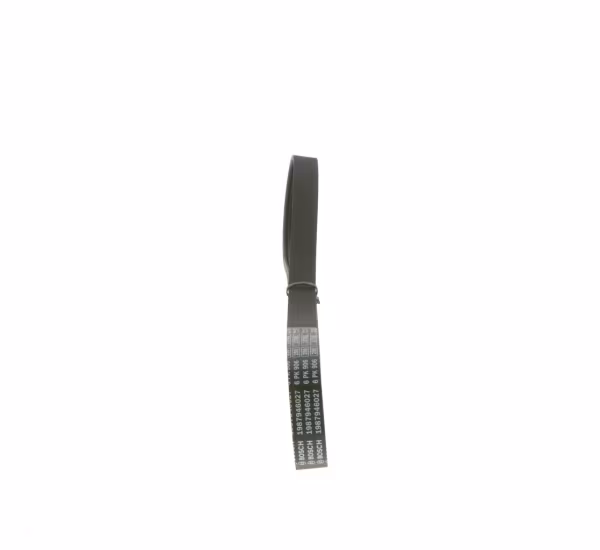 BOSCH Cinghia Poly-V