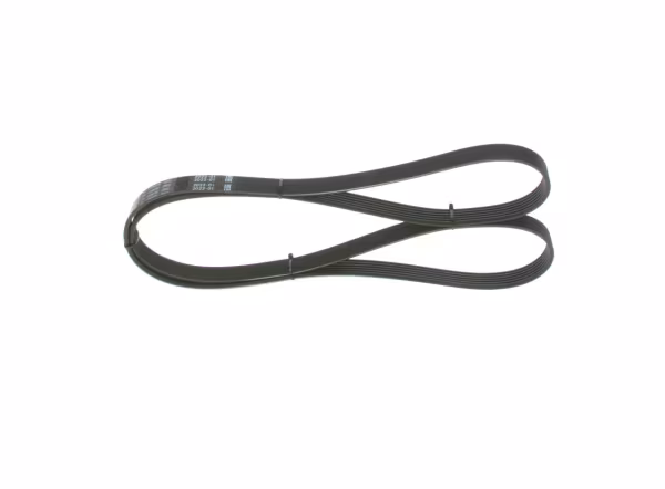 BOSCH Cinghia Poly-V