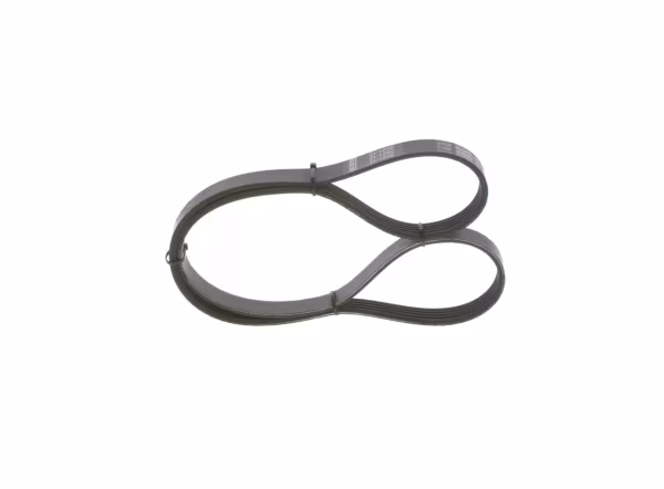 BOSCH Cinghia Poly-V