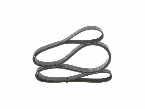BOSCH Cinghia Poly-V