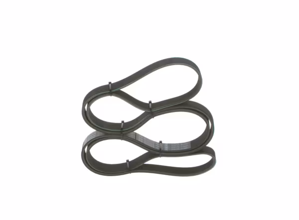 BOSCH Cinghia Poly-V