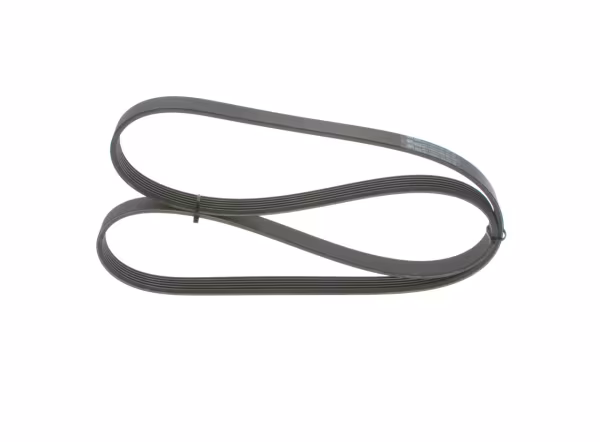 BOSCH Cinghia Poly-V