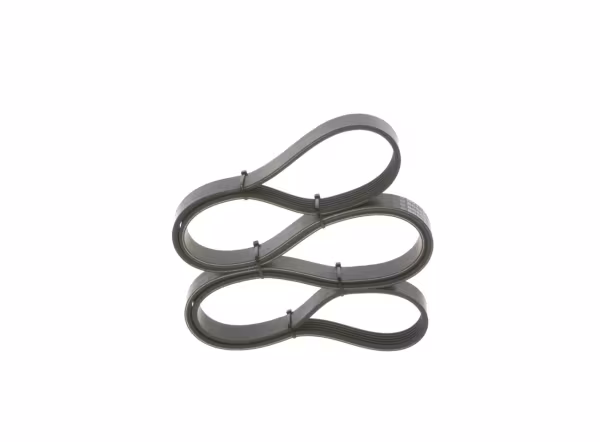 BOSCH Cinghia Poly-V
