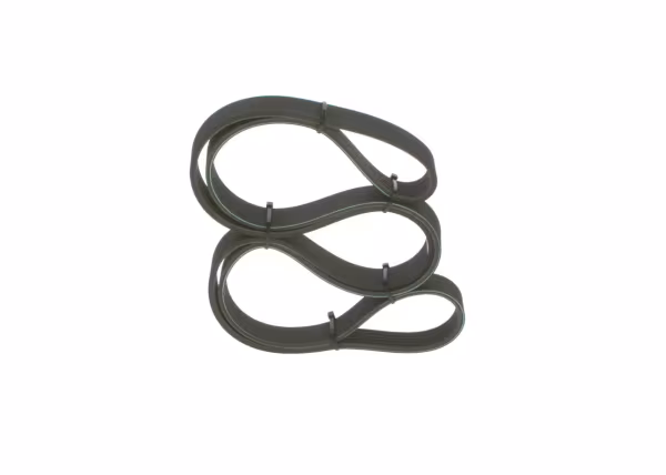 BOSCH Cinghia Poly-V
