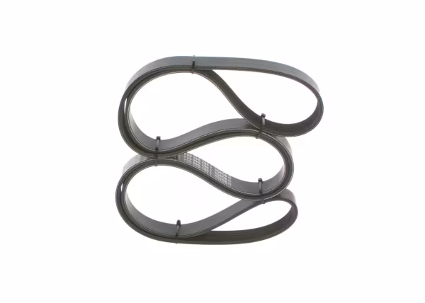 BOSCH Cinghia Poly-V