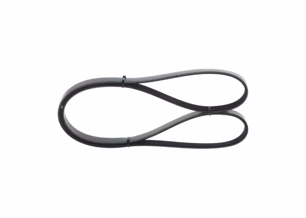 BOSCH Cinghia Poly-V