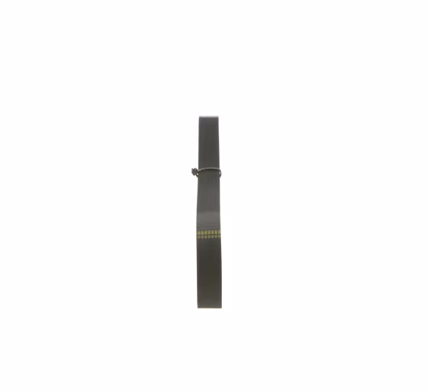 BOSCH Cinghia Poly-V