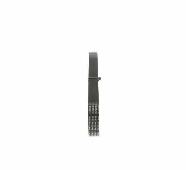 BOSCH Cinghia Poly-V