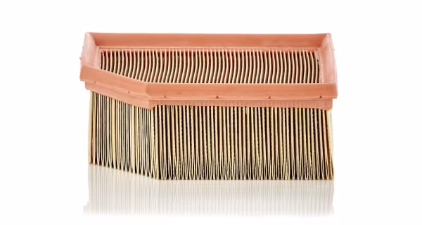 MANN-FILTER Filtro aria