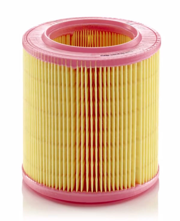 MANN-FILTER Filtro aria