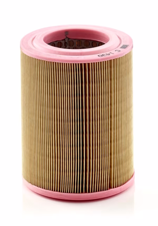 MANN-FILTER Filtro aria