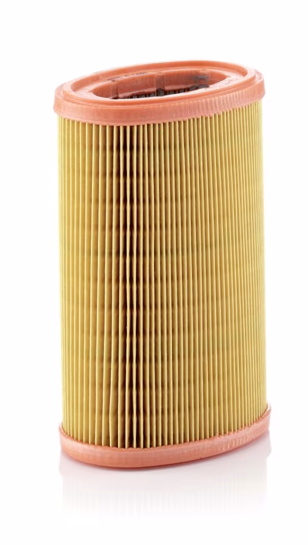 MANN-FILTER Filtro aria