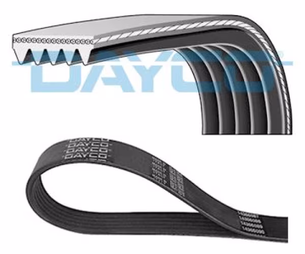 DAYCO Cinghia Poly-V