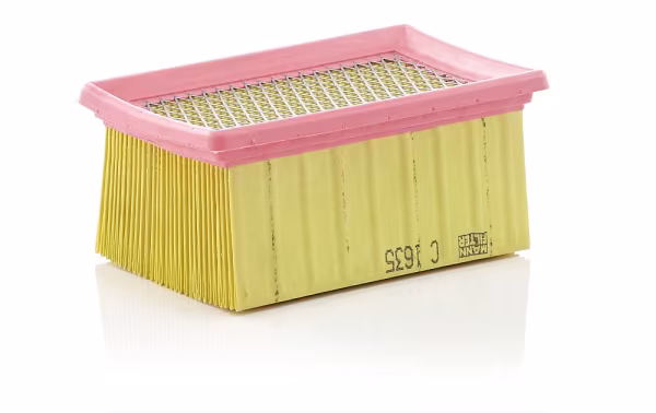 MANN-FILTER Filtro aria