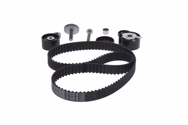 BOSCH Kit cinghie dentate
