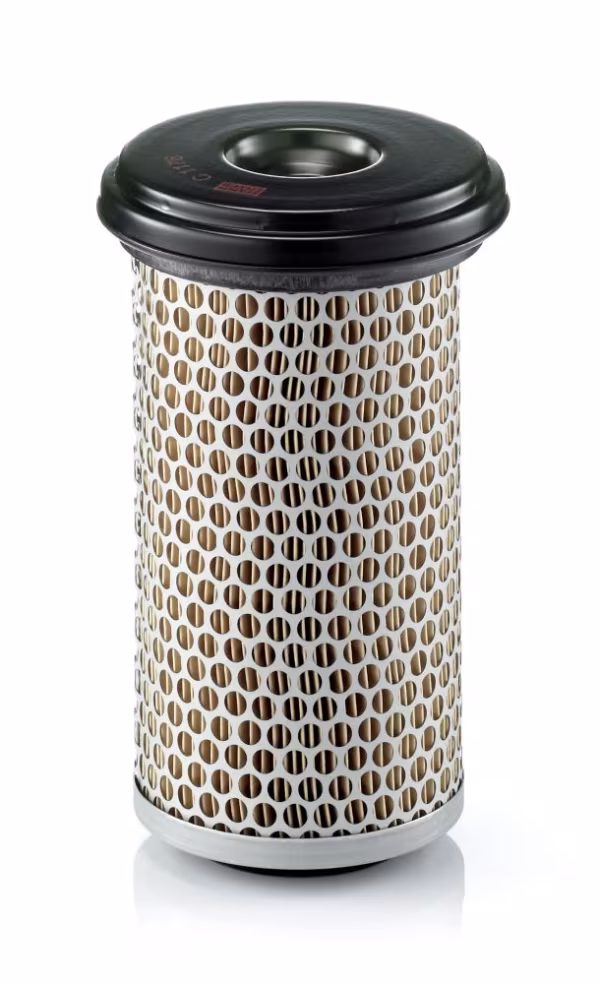 MANN-FILTER Filtro aria