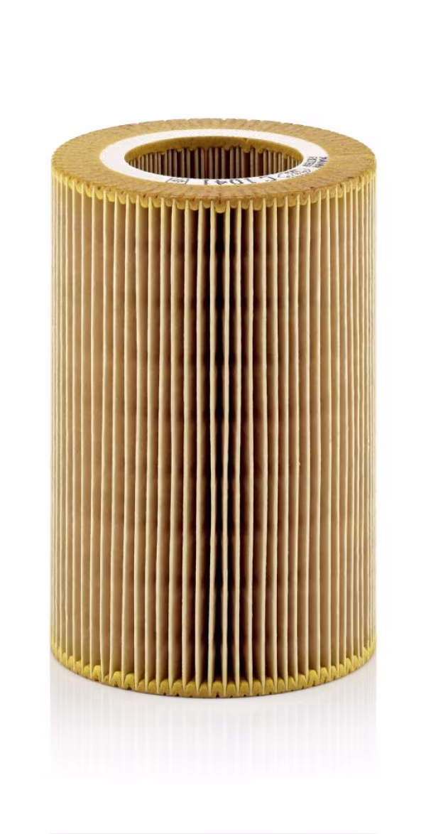 MANN-FILTER Filtro aria