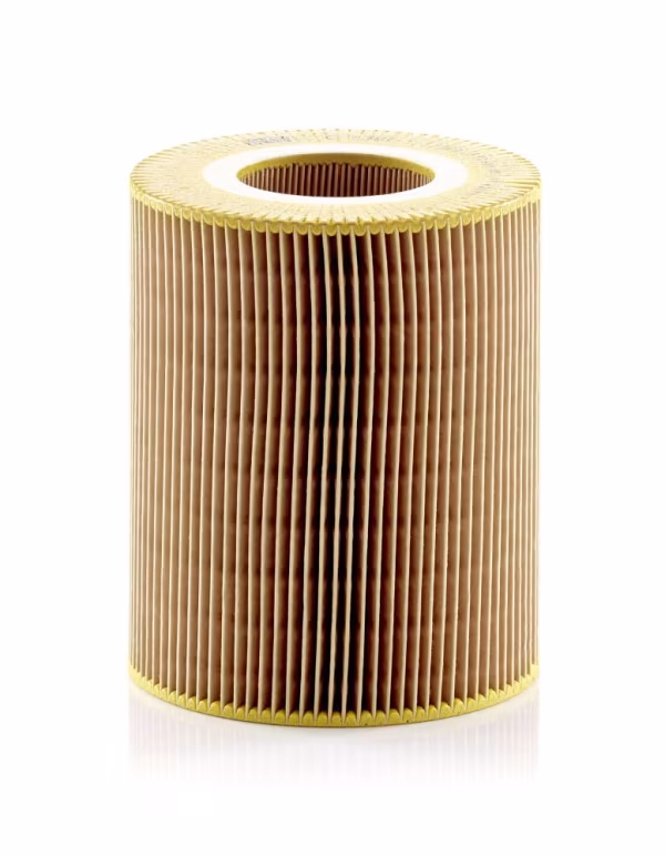 MANN-FILTER Filtro aria
