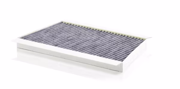 MANN-FILTER Filtro, Aria abitacolo