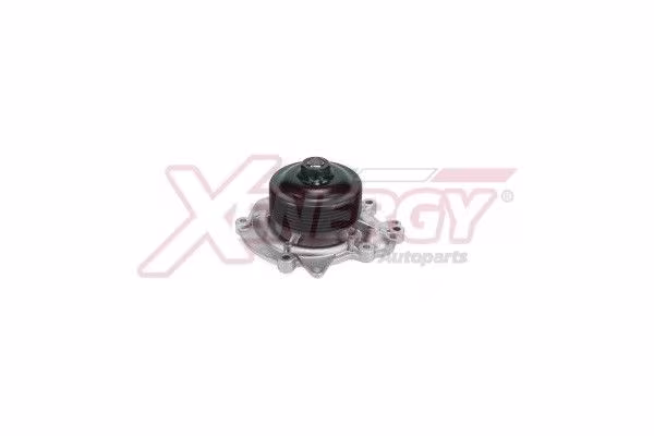 AP XENERGY Pompa dell’acqua, raffreddamento motore